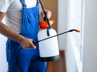 About North Hudson Bed Bug Heat Treatment - bed bug heat treatment experts in North Hudson